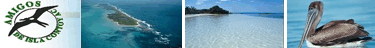 Amigos de Isla Contoy, Q. Roo, Mexico